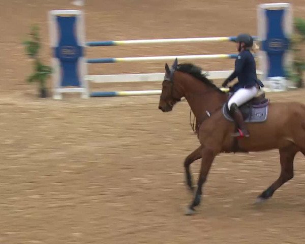 Reitturnier Kreuth/Opf. 2019