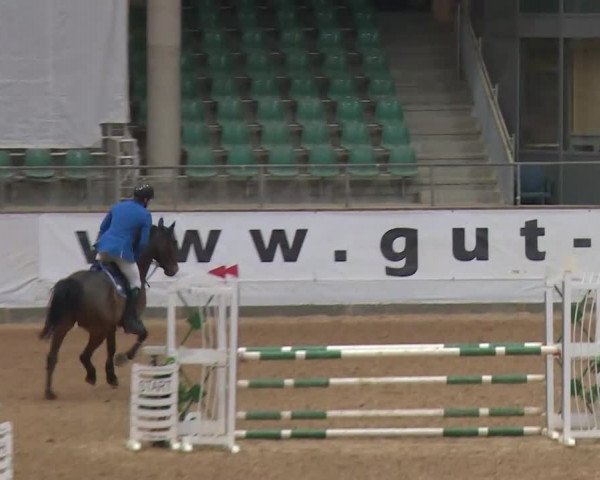 Reitturnier Kreuth/Opf. 2019