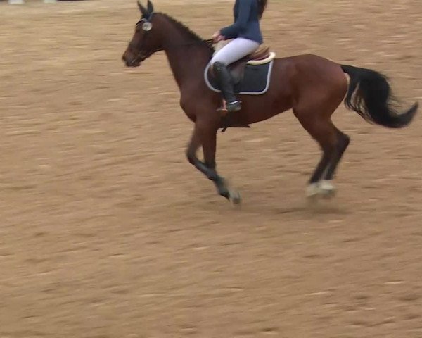 Reitturnier Kreuth/Opf. 2019