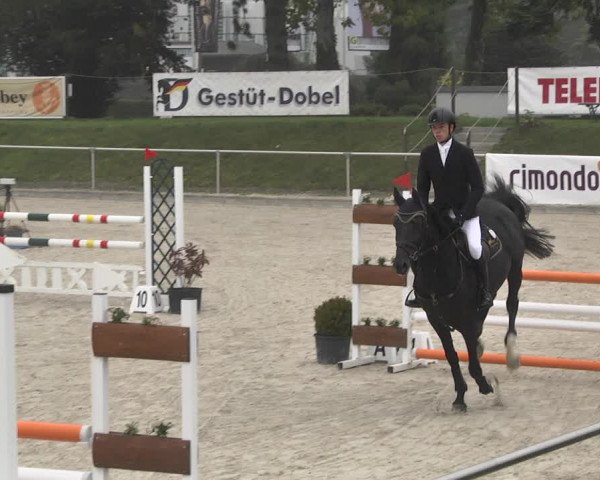 Reitturnier Durmersheim-Hardt 2021