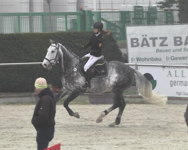 Reitturnier Durmersheim-Hardt 2021