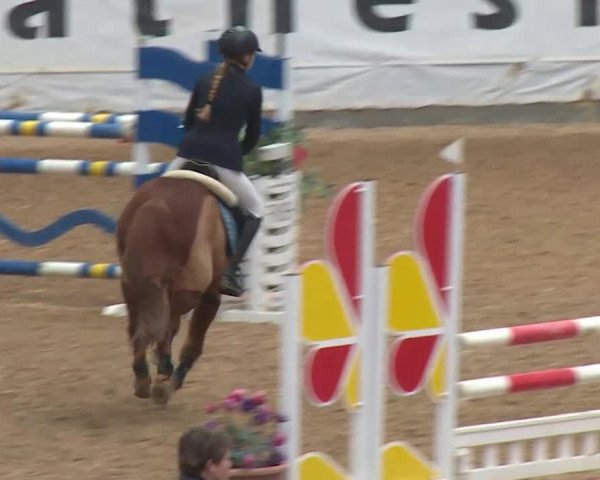 Reitturnier Kreuth/Opf. 2019