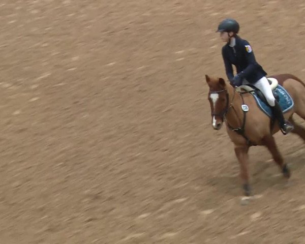 Reitturnier Kreuth/Opf. 2019