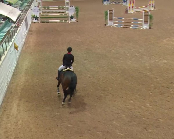 Reitturnier Kreuth/Opf. 2019