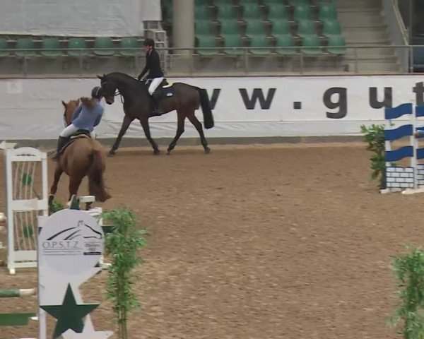 Reitturnier Kreuth/Opf. 2019