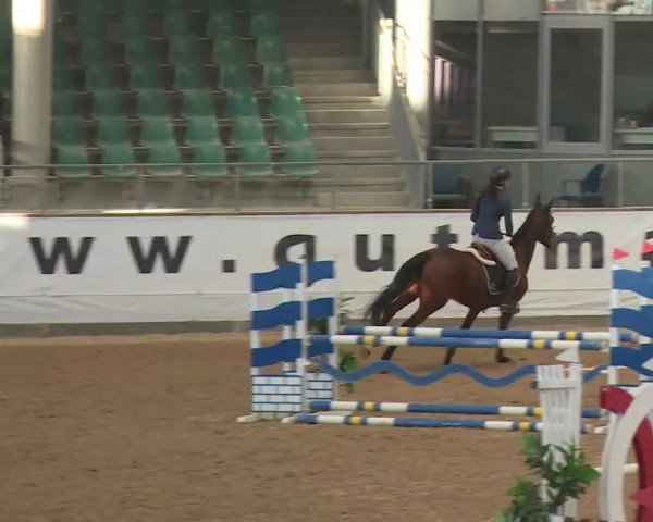 Reitturnier Kreuth/Opf. 2019