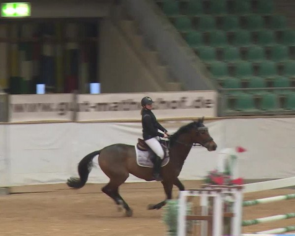 Reitturnier Kreuth/Opf. 2019