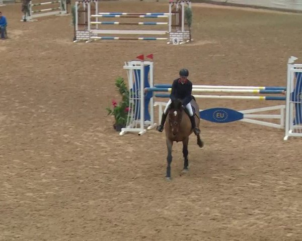 Reitturnier Kreuth/Opf. 2019