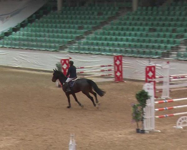 Reitturnier Kreuth/Opf. 2019