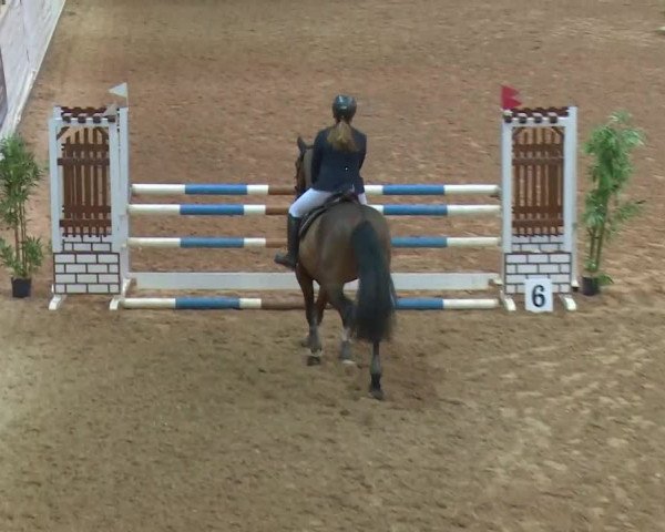 Reitturnier Kreuth/Opf. 2019