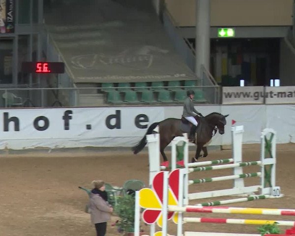 Reitturnier Kreuth/Opf. 2019