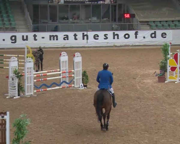 Reitturnier Kreuth/Opf. 2019