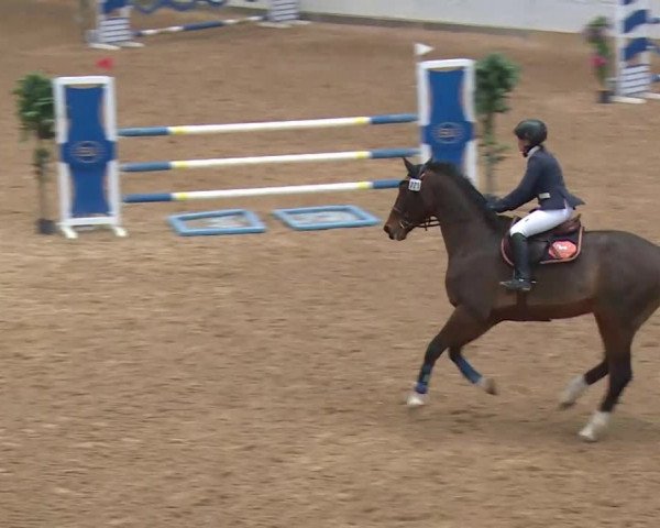 Reitturnier Kreuth/Opf. 2019