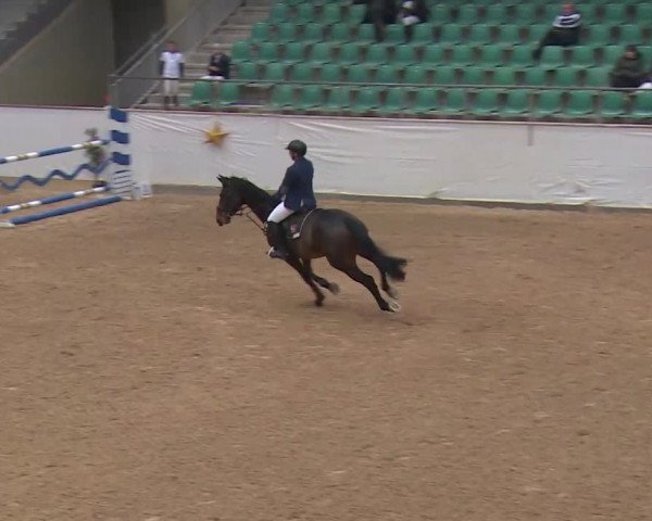 Reitturnier Kreuth/Opf. 2019