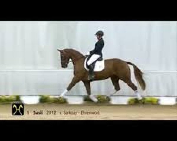 broodmare Susii (Hanoverian, 2012, from Sarkozy 3)