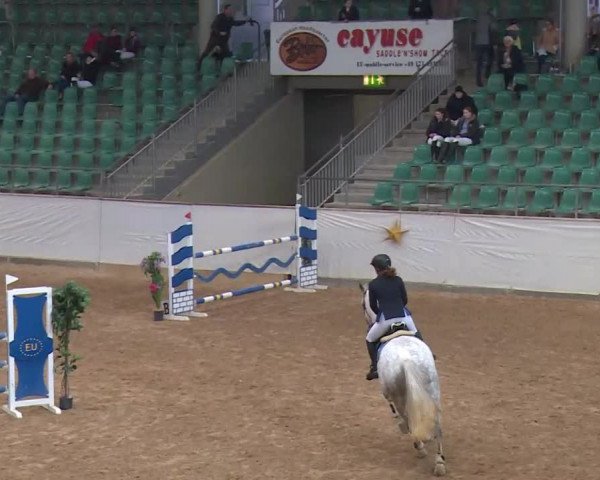 Reitturnier Kreuth/Opf. 2019