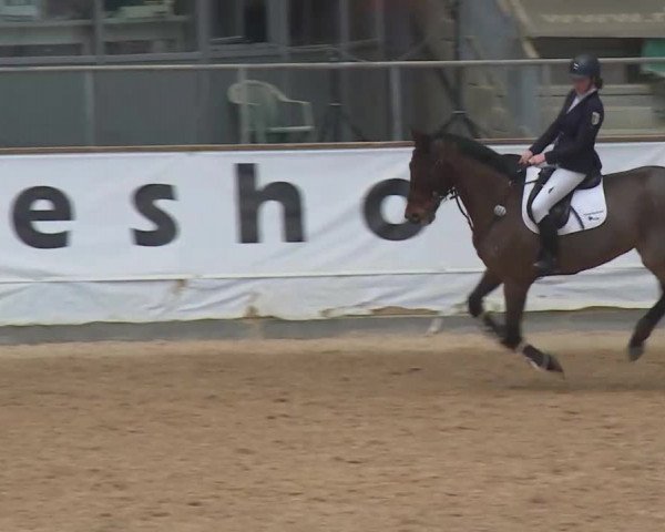 Reitturnier Kreuth/Opf. 2019