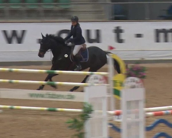 Reitturnier Kreuth/Opf. 2019