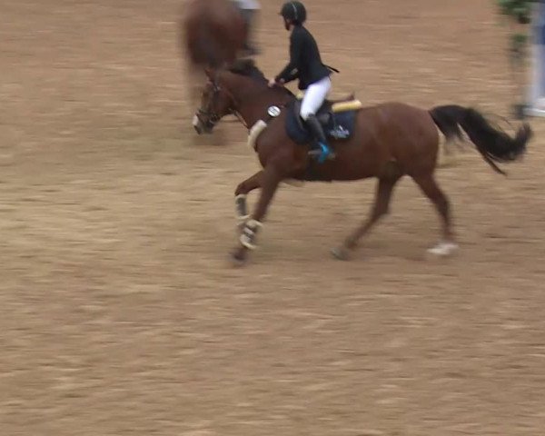 Reitturnier Kreuth/Opf. 2019