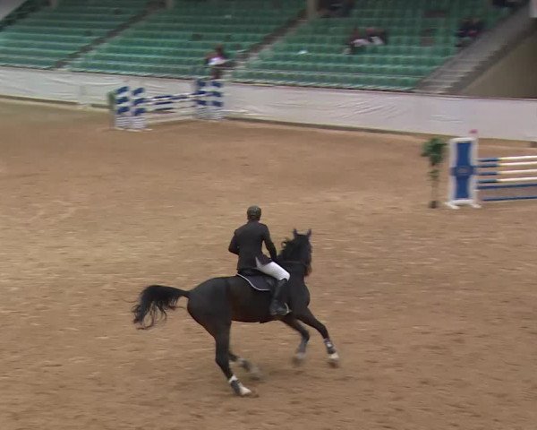Reitturnier Kreuth/Opf. 2019