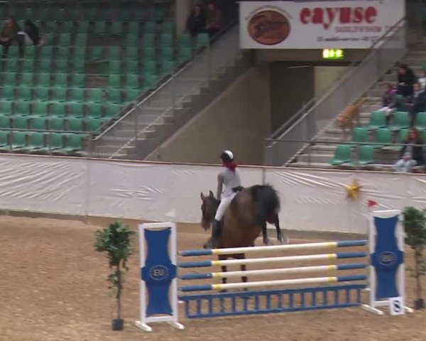 Reitturnier Kreuth/Opf. 2019