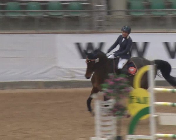 Reitturnier Kreuth/Opf. 2019