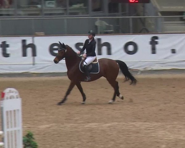 Reitturnier Kreuth/Opf. 2019