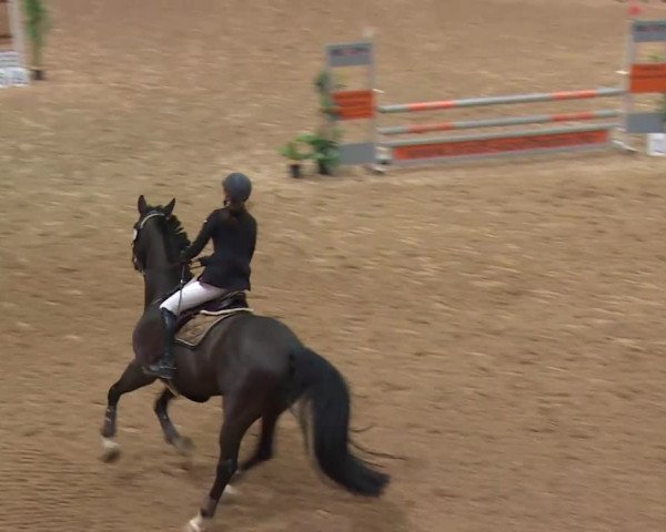 Reitturnier Kreuth/Opf. 2019