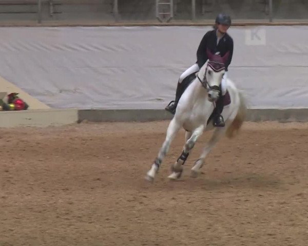 Reitturnier Kreuth/Opf. 2019