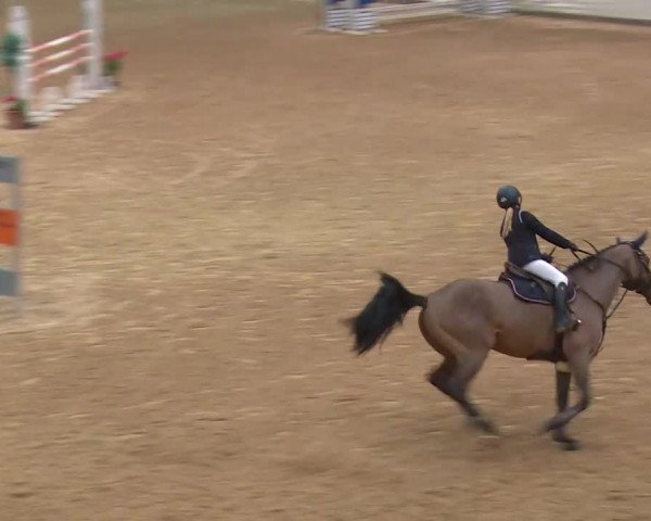 Reitturnier Kreuth/Opf. 2019