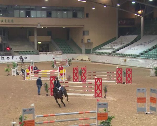 Reitturnier Kreuth/Opf. 2019
