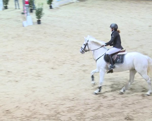 Reitturnier Henau 2019