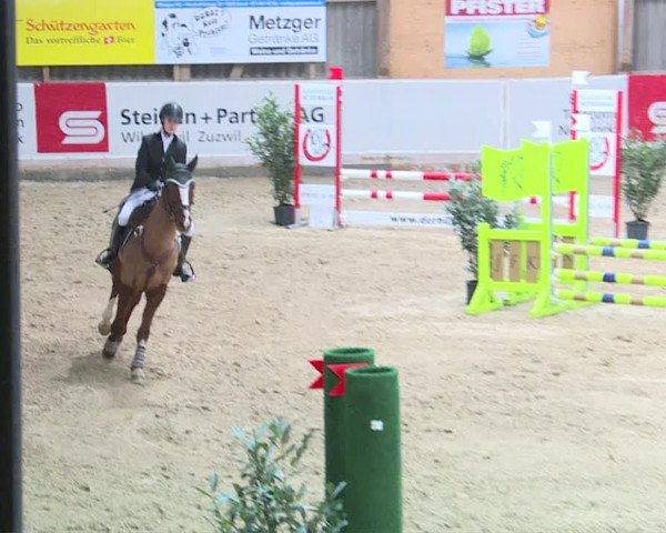 Reitturnier Henau 2019