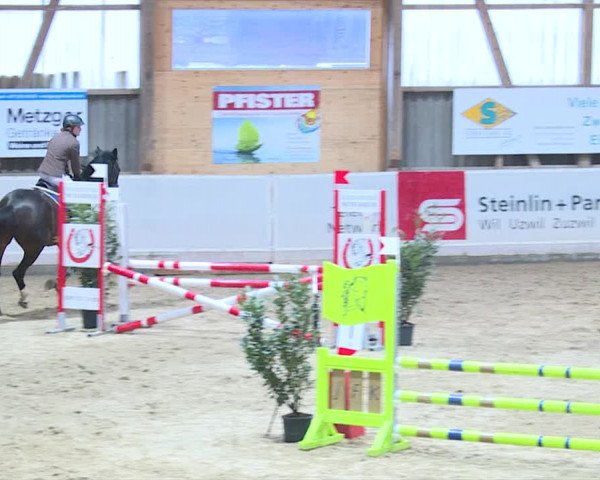 Reitturnier Henau 2019