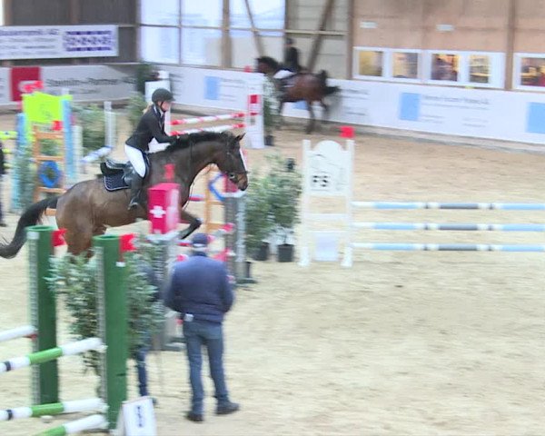 Reitturnier Henau 2019