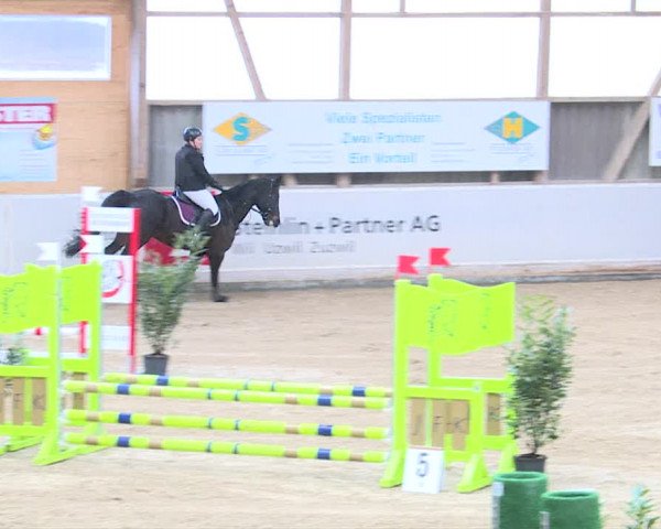Reitturnier Henau 2019