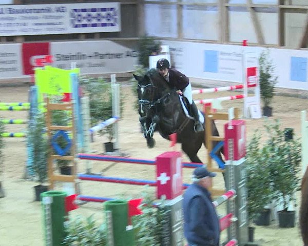 Reitturnier Henau 2019