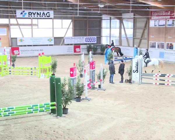 Reitturnier Henau 2019