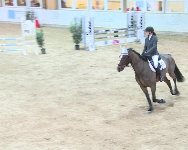 Reitturnier Henau 2019
