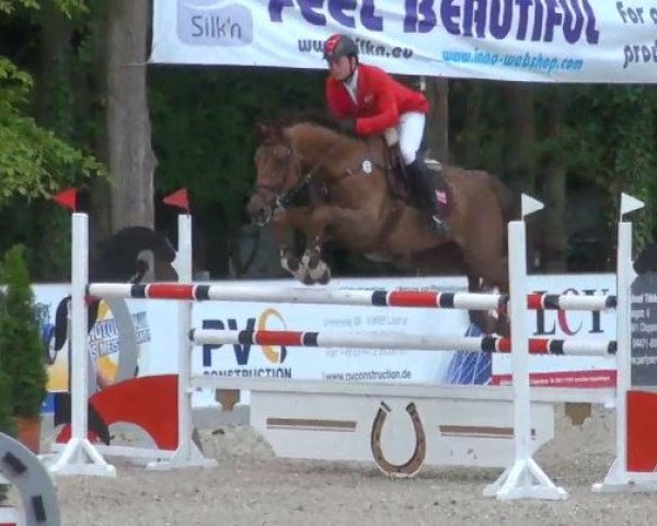 broodmare Elle Chin (Belgian Warmblood, 2004, from Chin Chin)