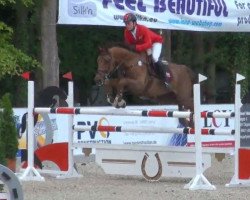 broodmare Elle Chin (Belgian Warmblood, 2004, from Chin Chin)