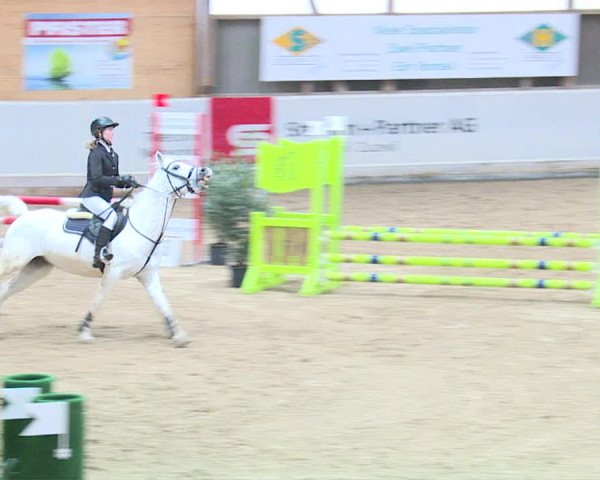 Reitturnier Henau 2019