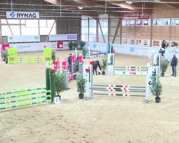 Reitturnier Henau 2019