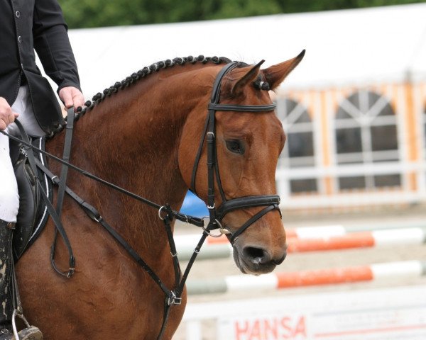 Springpferd Esther Z. (Oldenburger, 2008, von Junior de Pommes)