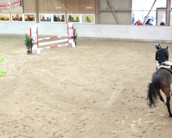 Reitturnier Henau 2019