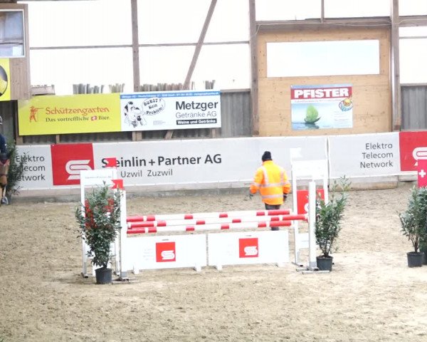 Reitturnier Henau 2019