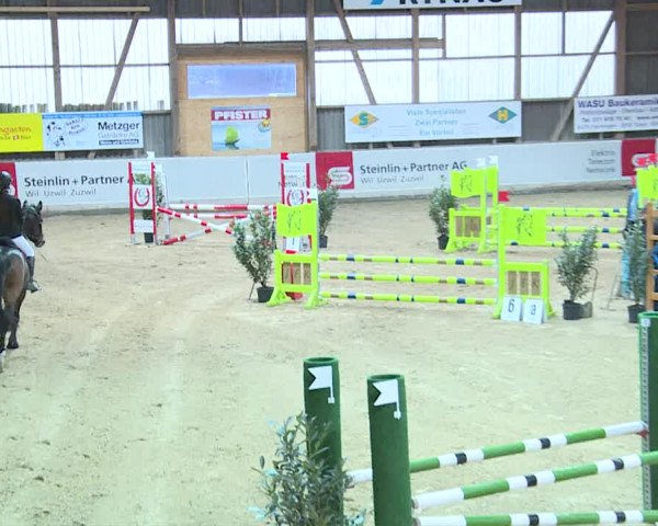 Reitturnier Henau 2019