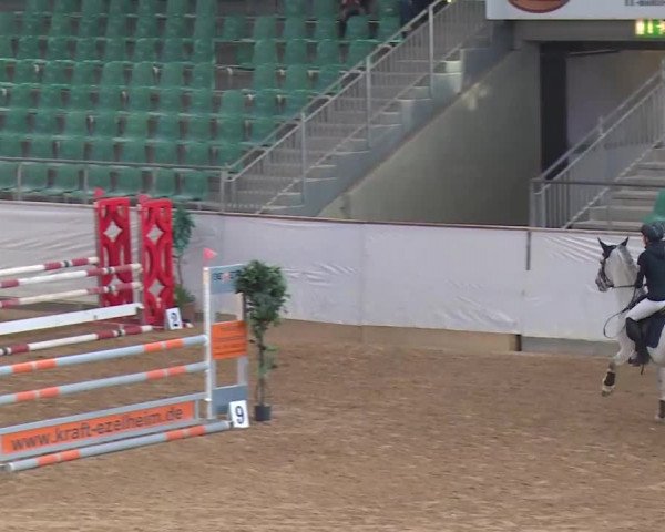 Reitturnier Kreuth/Opf. 2019