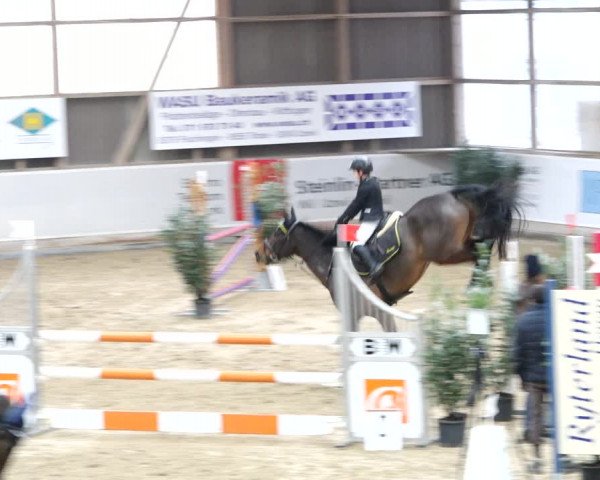 Reitturnier Henau 2019