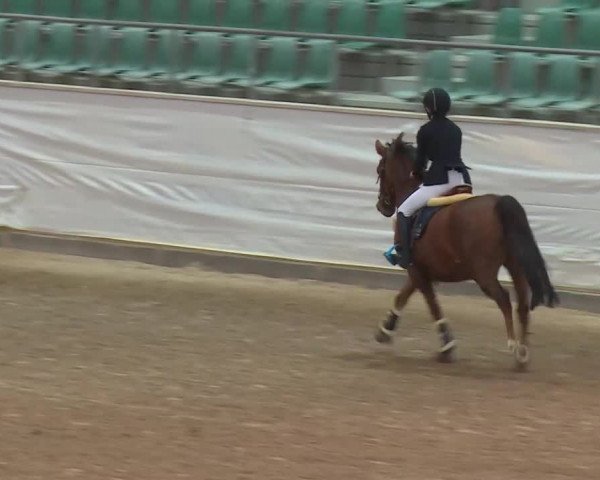 Reitturnier Kreuth/Opf. 2019